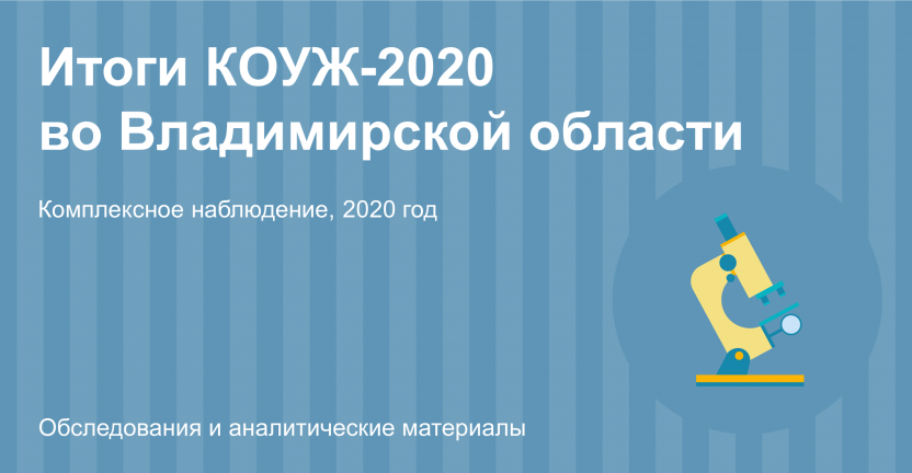 Итоги Комплексного наблюдения  условий жизни населения   Владимирской области в 2020 году